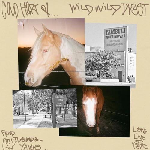 Album cover art for "Wild Wild West" by Cold Hart