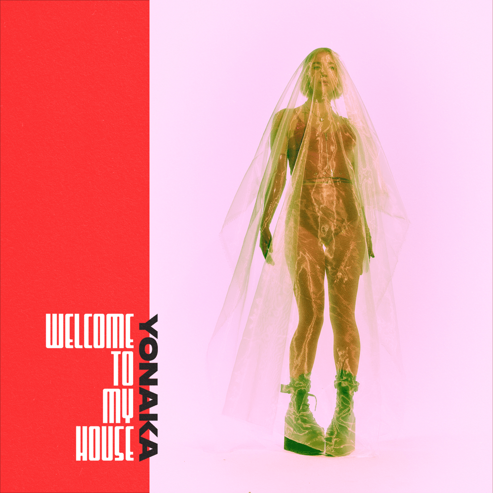 Cover image for Welcome To My House