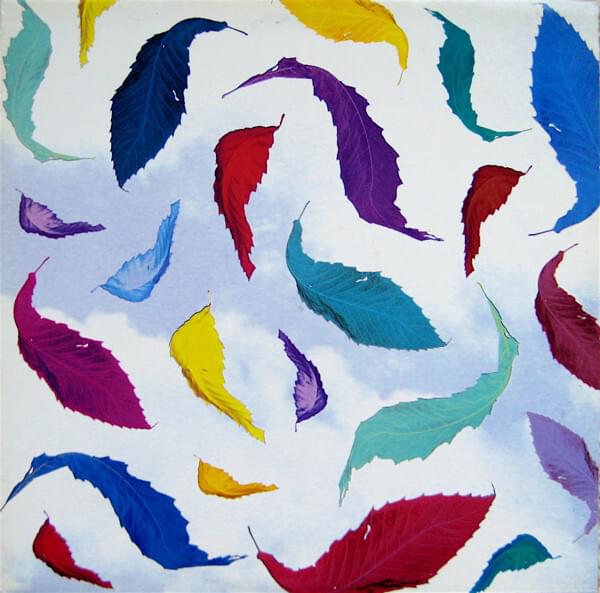 Album cover art for "True Dub" by New Order