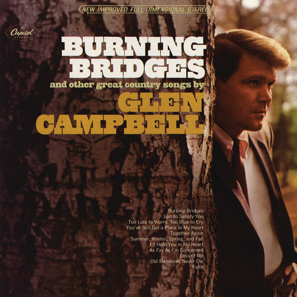 Cover image for Burning Bridges