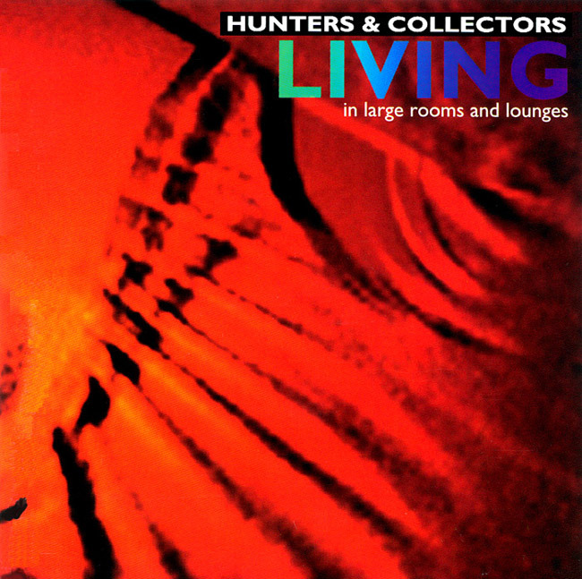 Cover image for Living in Large Rooms and Lounges 
