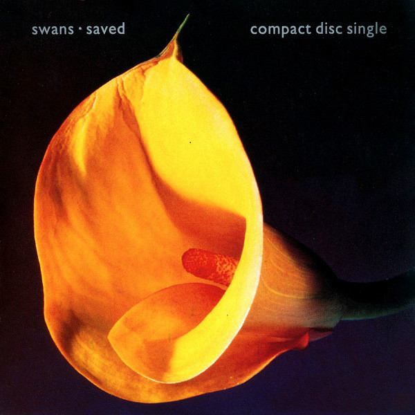 Album cover art for "Saved" by Swans