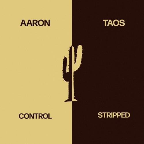 Control (Stripped) by Aaron Taos