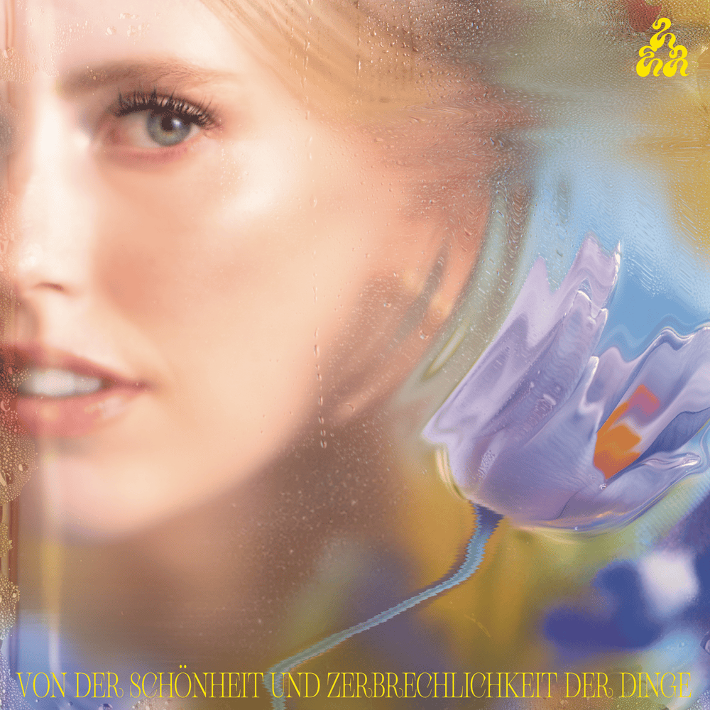 Cover image for Von der Schönheit und Zerbrechlichkeit der Dinge