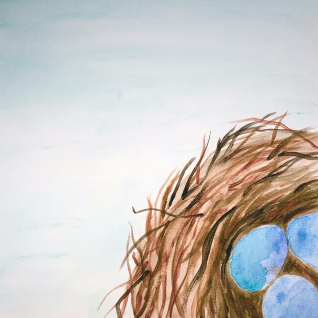 Album cover art for "Dogwood" by Mat Kerekes