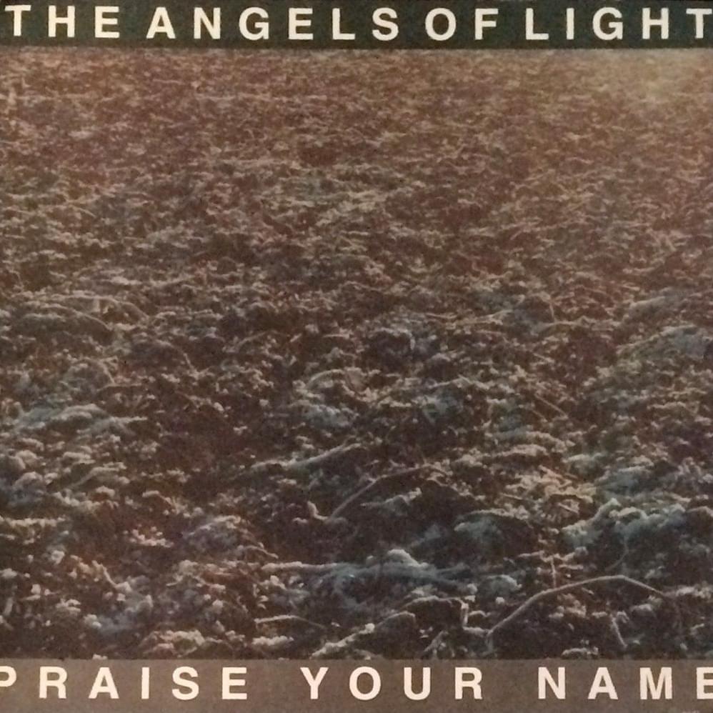 Cover image for Praise Your Name (Single)