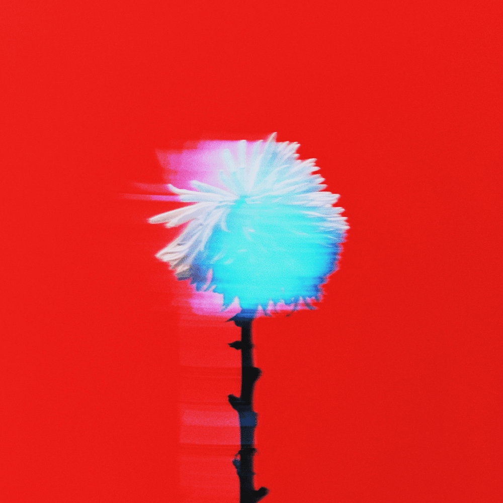 Album cover art for "Vivo en el pasado" by Maka