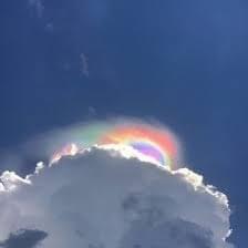 Cover image for GAY GAY GAY