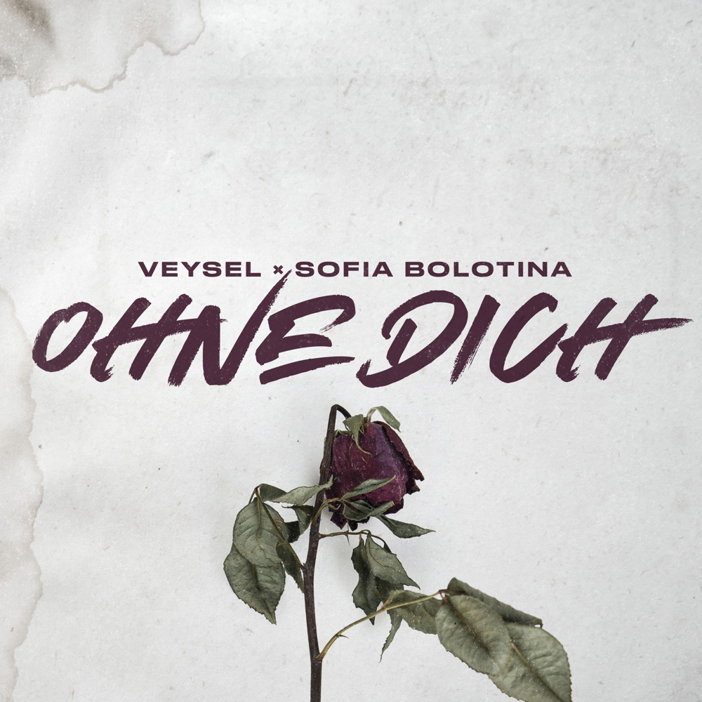Album cover art for "OHNE DICH (REMIX)" by Veysel