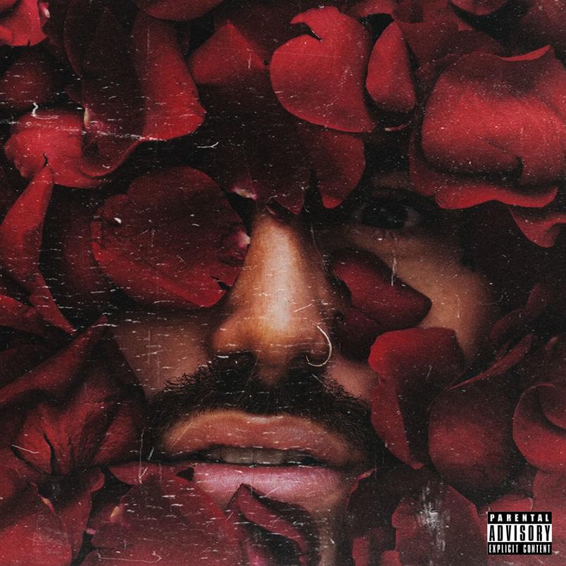 Roses by GASHI