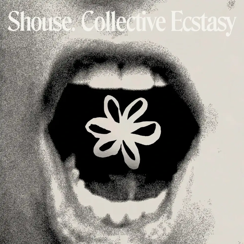 Cover image for Collective Ecstasy