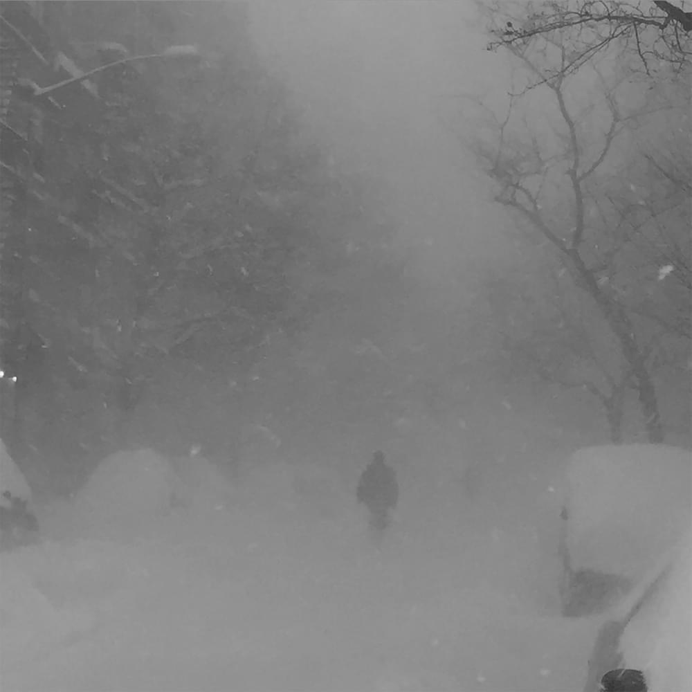 Wild Love by Cashmere Cat