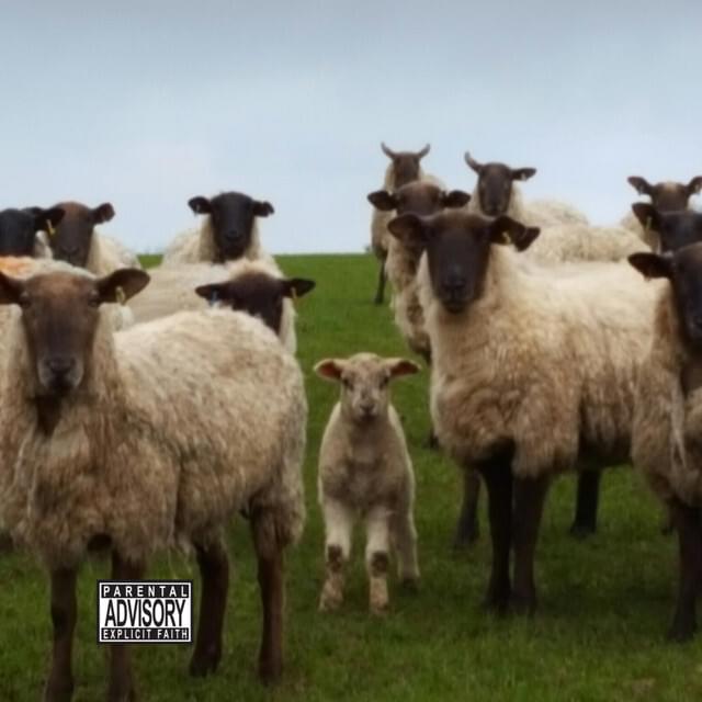 Album cover art for "Lil Bo Peep" by Caleb Gordon