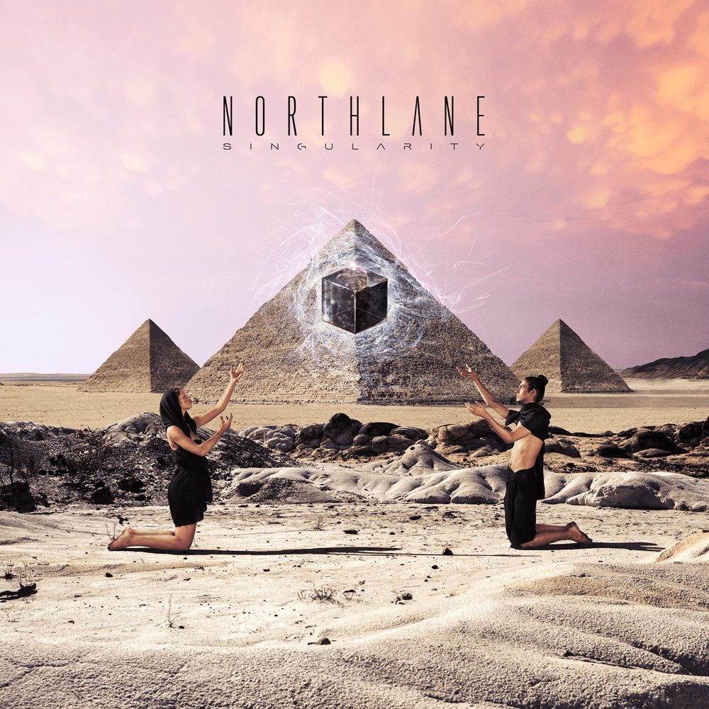 Cover image for Singularity