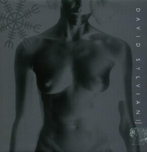 Album cover art for "Pop Song" by David Sylvian