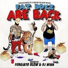 Cover image for Fat Boyz Are Back