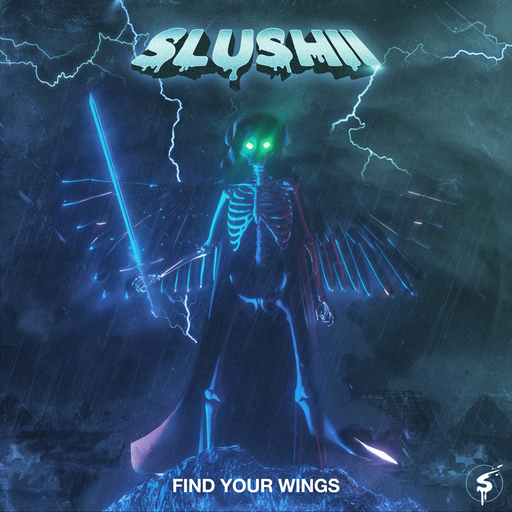 Cover image for Find Your Wings