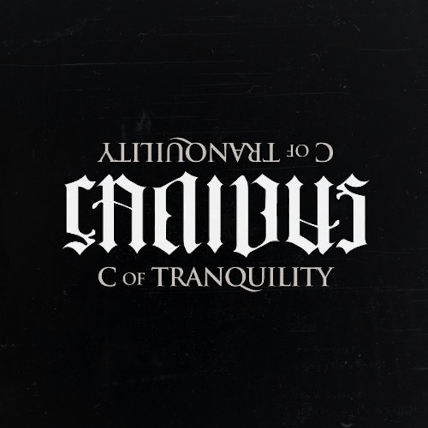Album cover art for "Salute" by Canibus & M.O.P.
