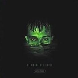 Cover image for Ce monde est cruel (Version verte)