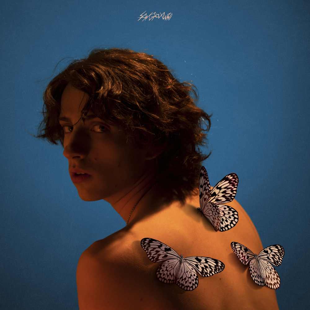 Album cover art for "farfalle" by Ubisoft