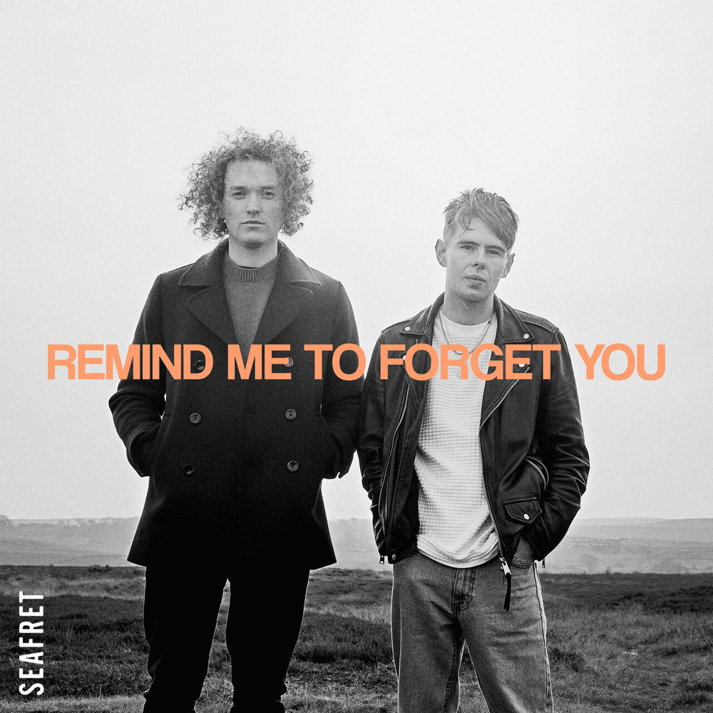 Album cover art for "Remind Me to Forget You" by Seafret