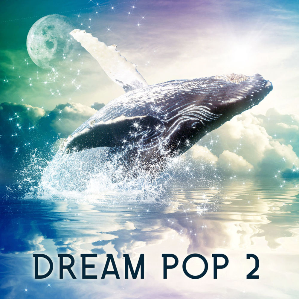 Album cover art for "Falling Star" by Raphael Lake & Royal Baggs
