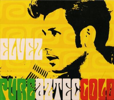 Album cover art for "It’s Now or Never" by El Vez