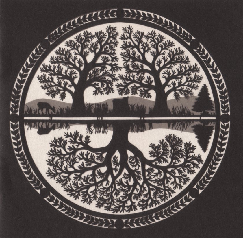 Album cover art for "Bird Of Cuzco" by Nina Nastasia