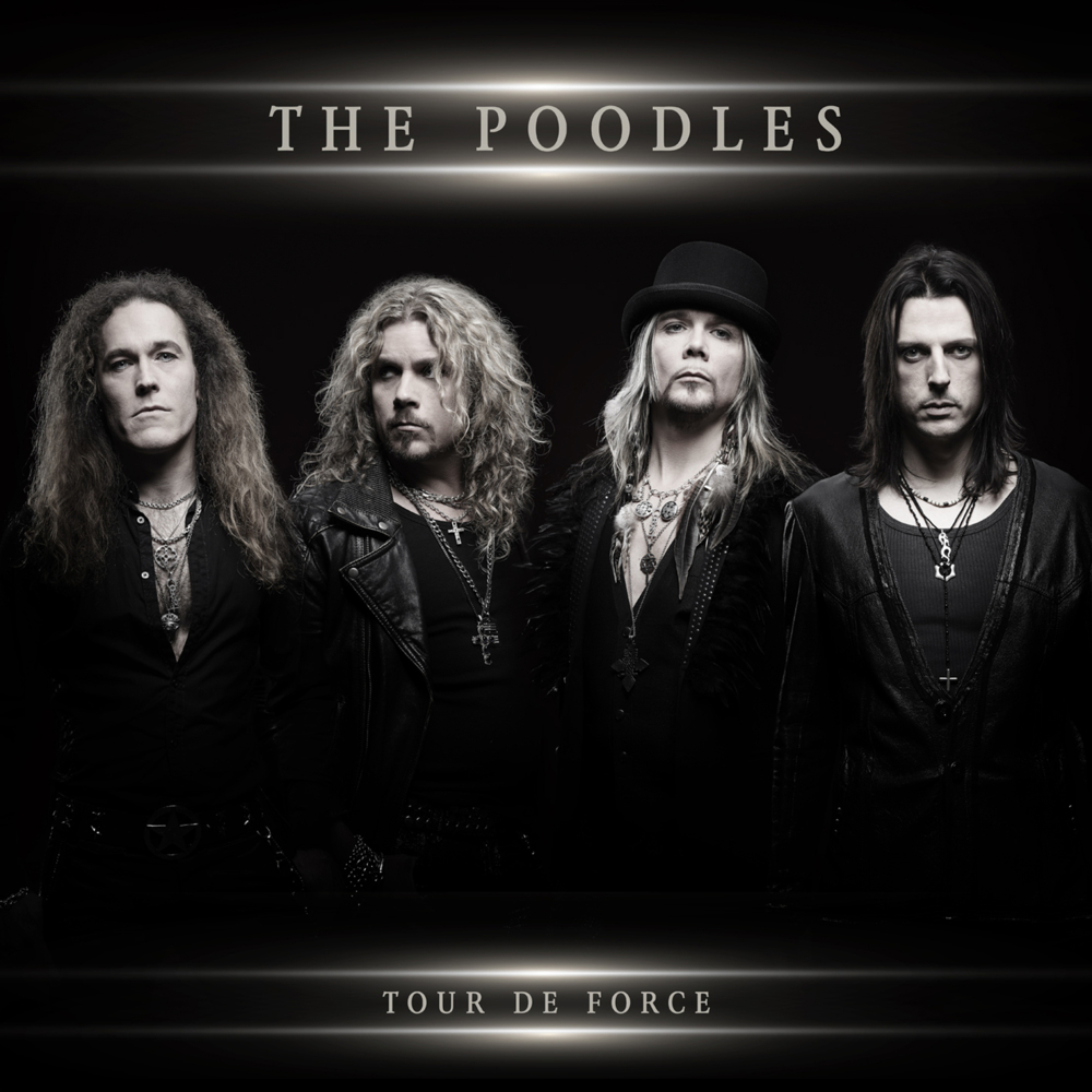 Leaving The Past To Pass by The Poodles