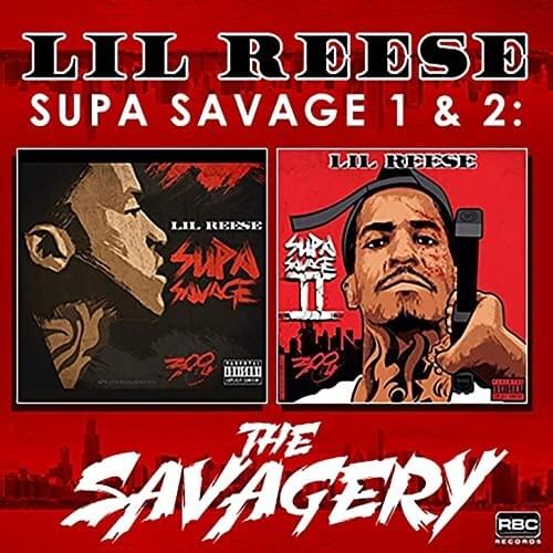 Cover image for The Savagery