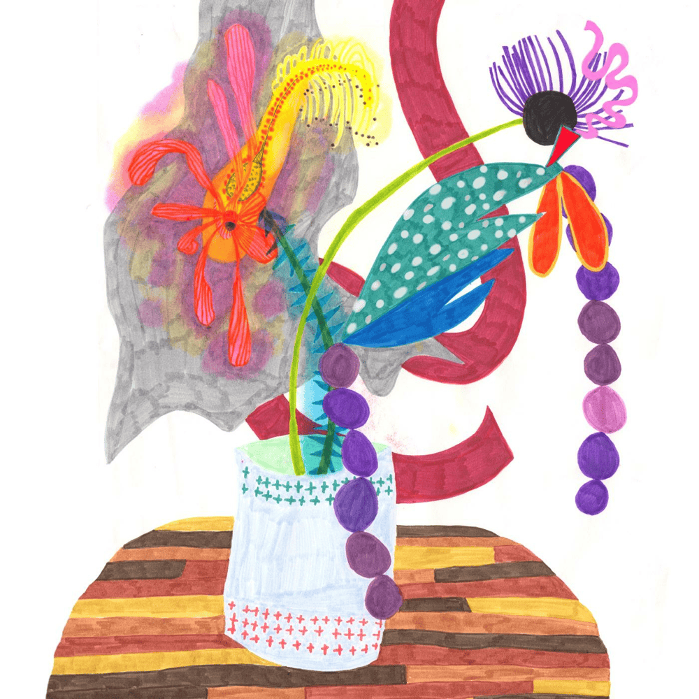 Album cover art for "Stella The Begonia" by Rubblebucket