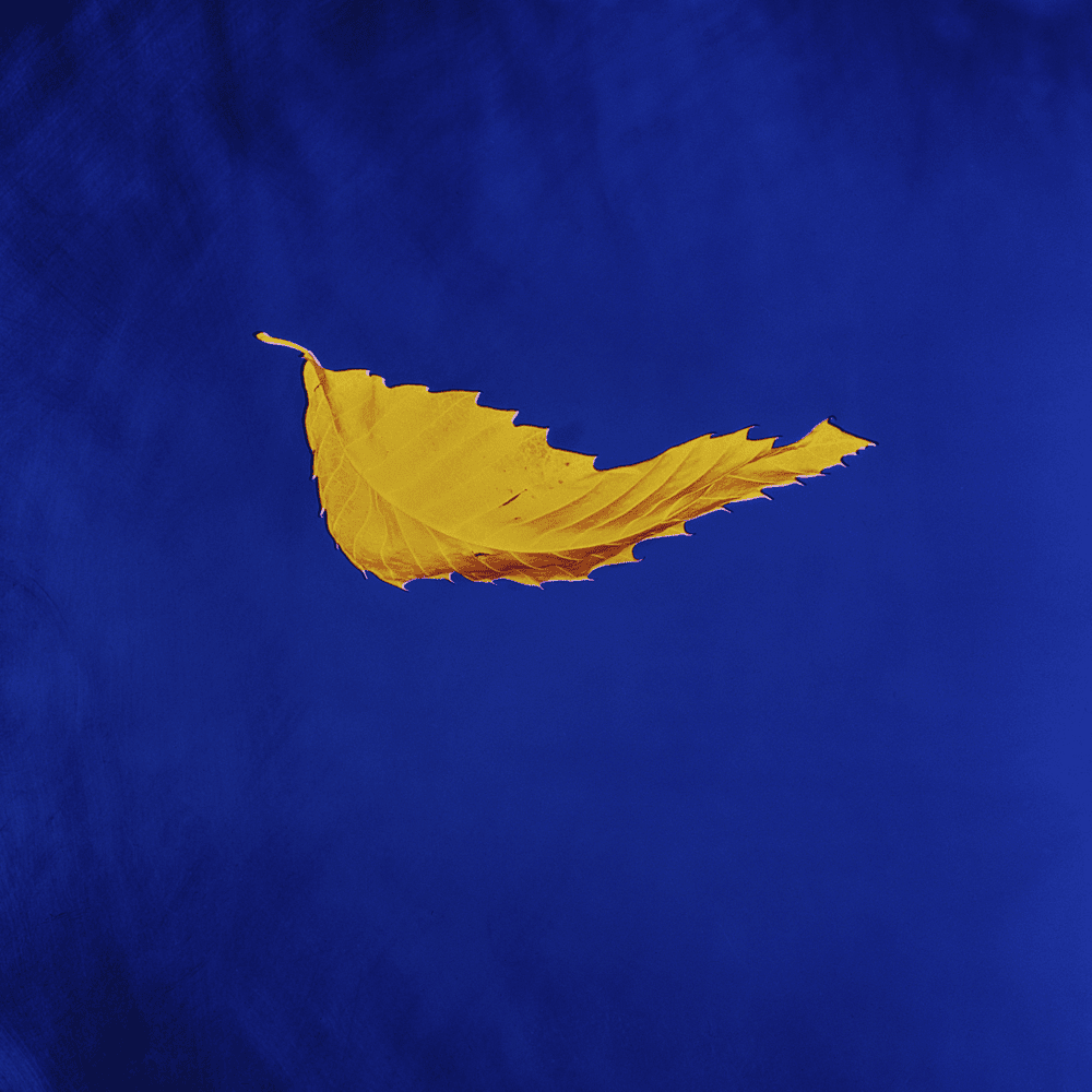 True Faith by New Order
