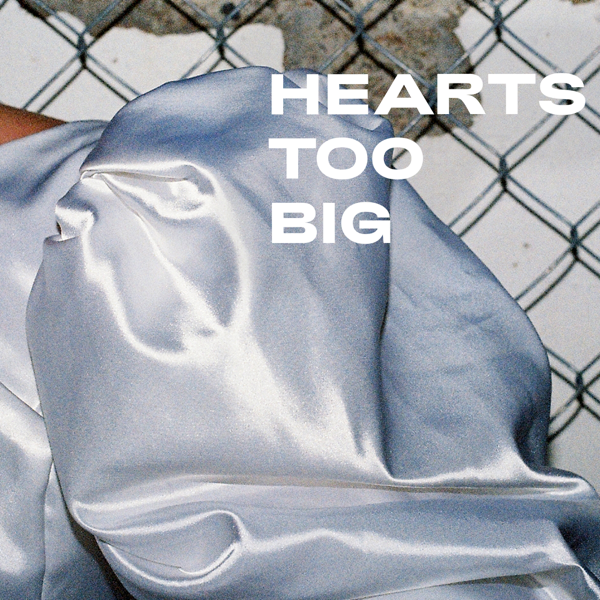 Hearts too Big by Dylan J