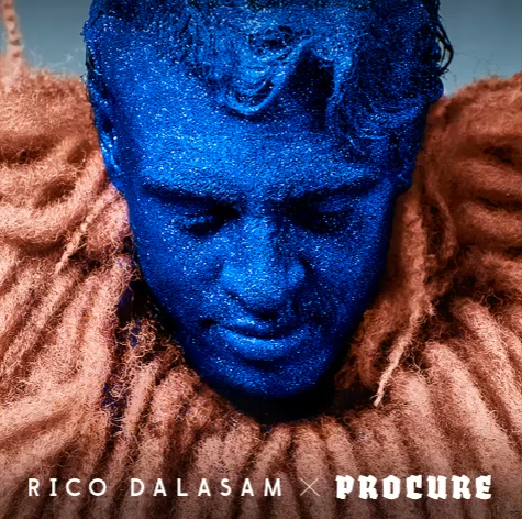 Album cover art for "Procure" by Rico Dalasam