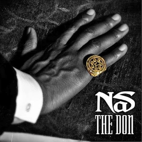 Album cover art for "The Don" by Nas
