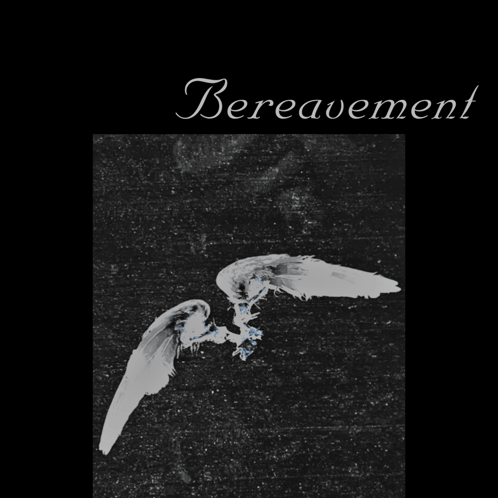 Album cover art for "Bereavement" by Tricky Youth