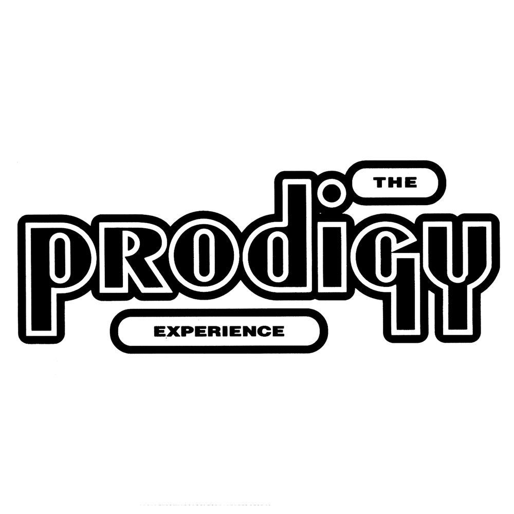 Cover image for Experience