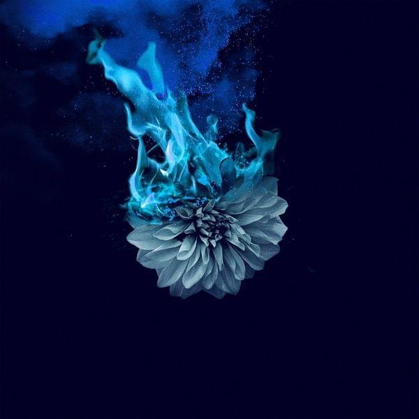 Album cover art for "Lowborn" by Wolves At The Gate