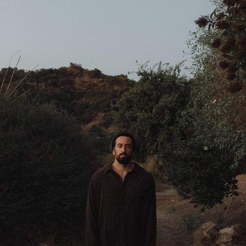 Cover image for Dotan