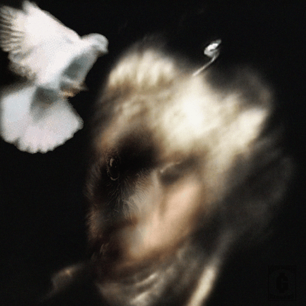 Album cover art for "NIGHT WALKER" by Sickboyrari