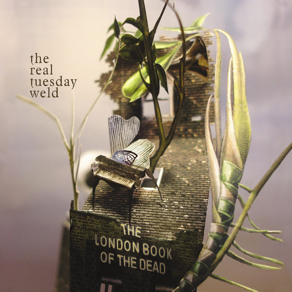 Album cover art for "Last Words" by The Real Tuesday Weld