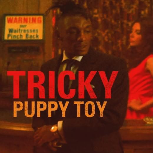 Album cover art for "Puppy Toy" by Tricky & Alex Mills