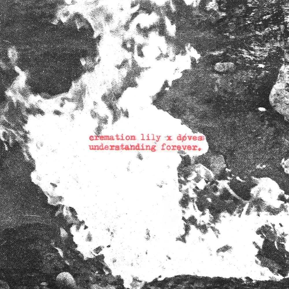 Understanding Forever by Cremation Lily