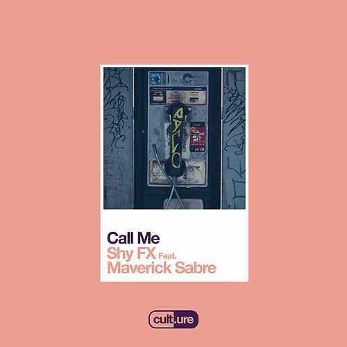 Call Me by Shy FX