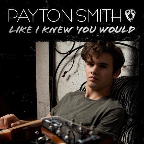 Like I Knew You Would by Payton Smith
