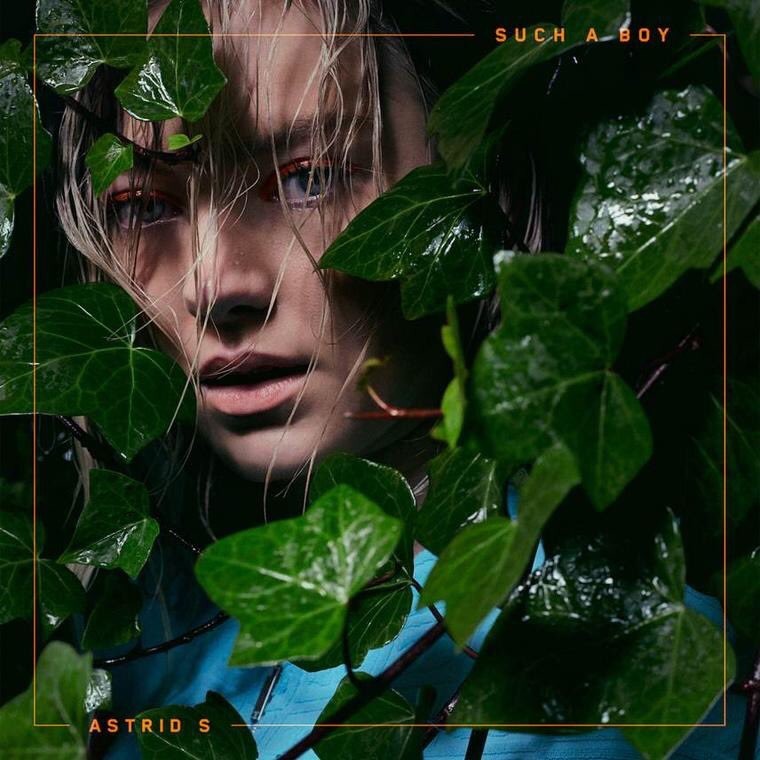 Such A Boy by Astrid S