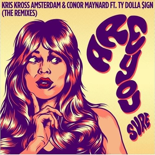 Cover image for Are You Sure? (The Remixes)