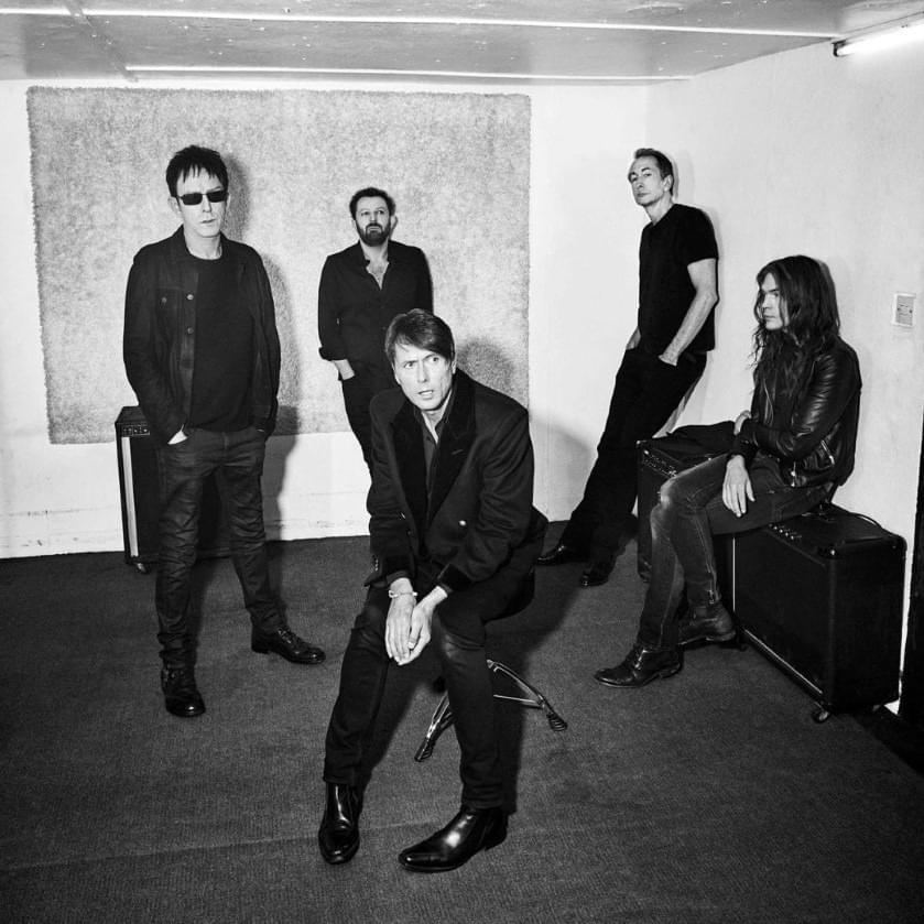 Cover image for Suede