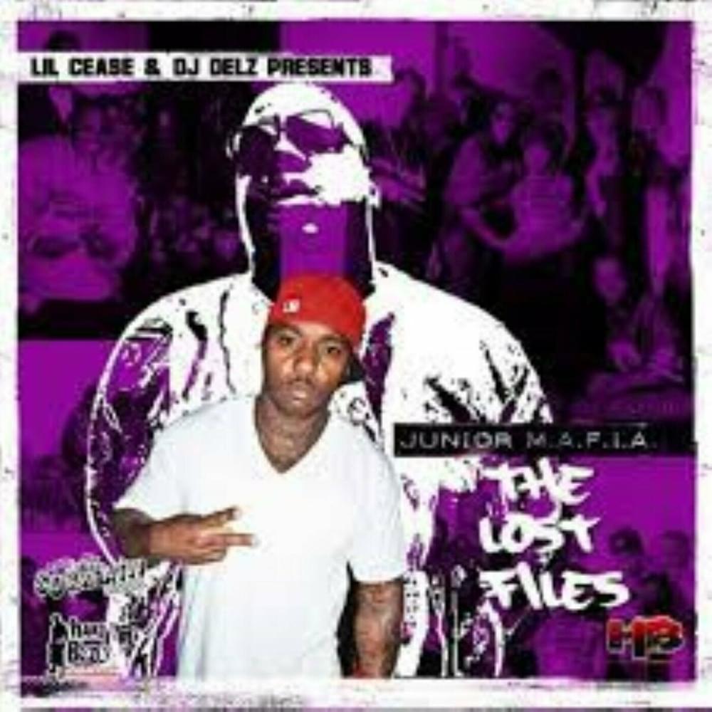 Cover image for The Lost Files
