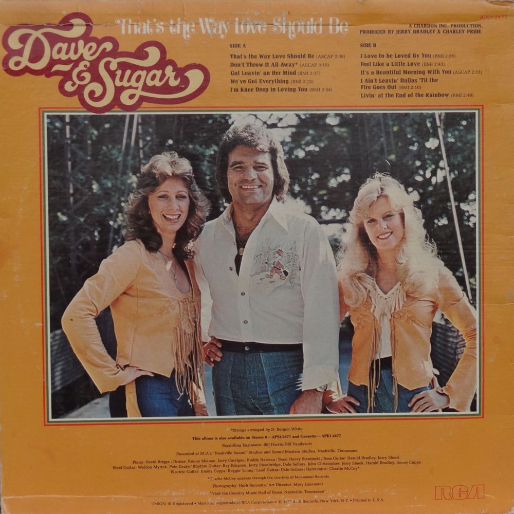 Don’t Throw It All Away by Dave & Sugar